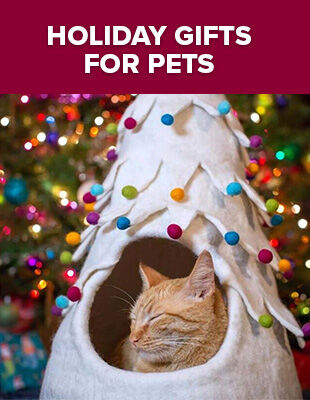 Holiday Gifts for Pets